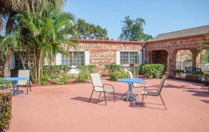 A spacious patio with chairs and a table, surrounded by greenery.
