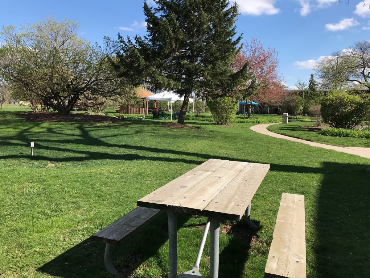A scenic view of a park with a picnic table, trees, and a pathway on a sunny day.