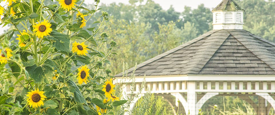 Pennswood Village