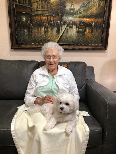 A cheerful elderly woman enjoying a cozy moment with her fluffy white dog on the sofa.