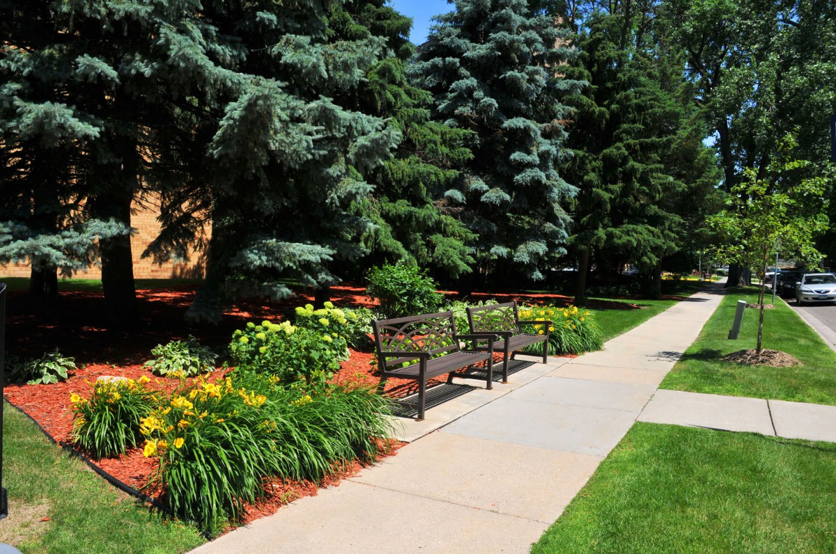 A serene park scene with a sidewalk, benches, and lush landscaping.