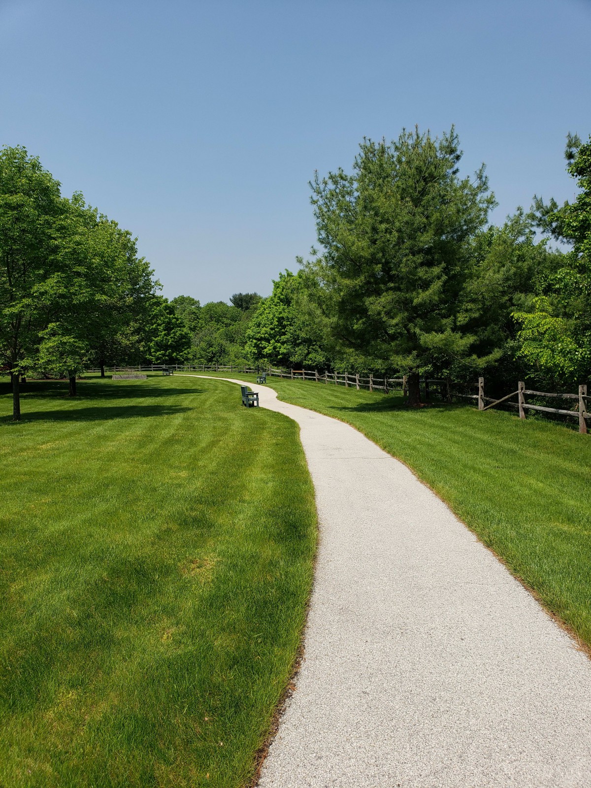A winding path through a scenic park with lush greenery and trees.