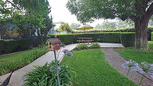 A serene backyard garden featuring a birdhouse, lush greenery, and a picnic table shaded by an umbrella.