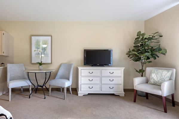 A living room with a TV on a white dresser, surrounded by chairs, a small table, and an indoor plant.