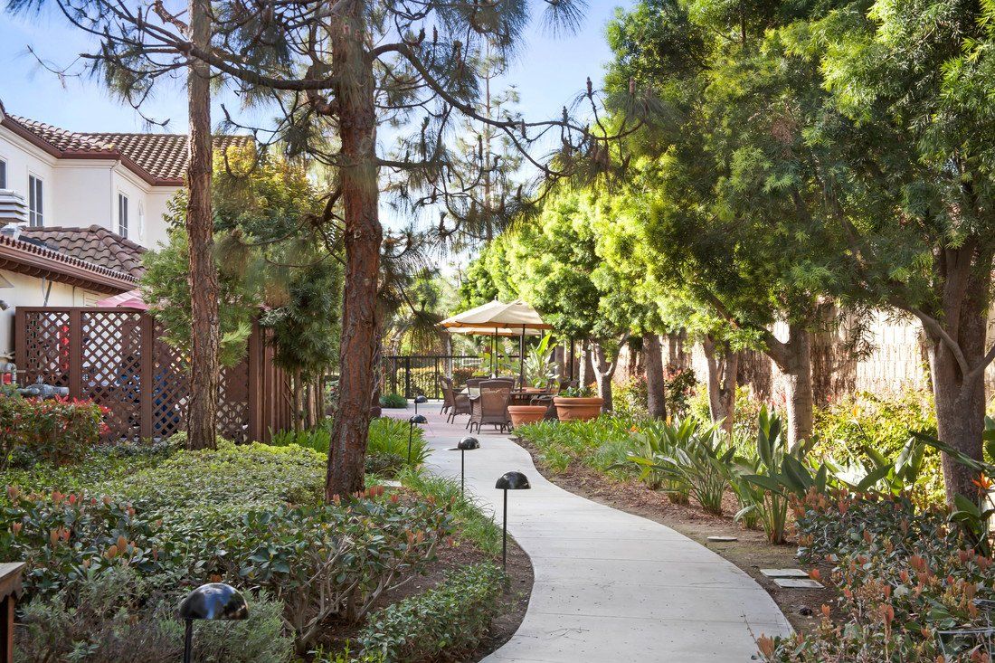 A serene garden pathway surrounded by lush greenery and tall trees.