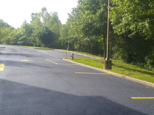 A peaceful parking lot surrounded by greenery, illuminated by sunlight.