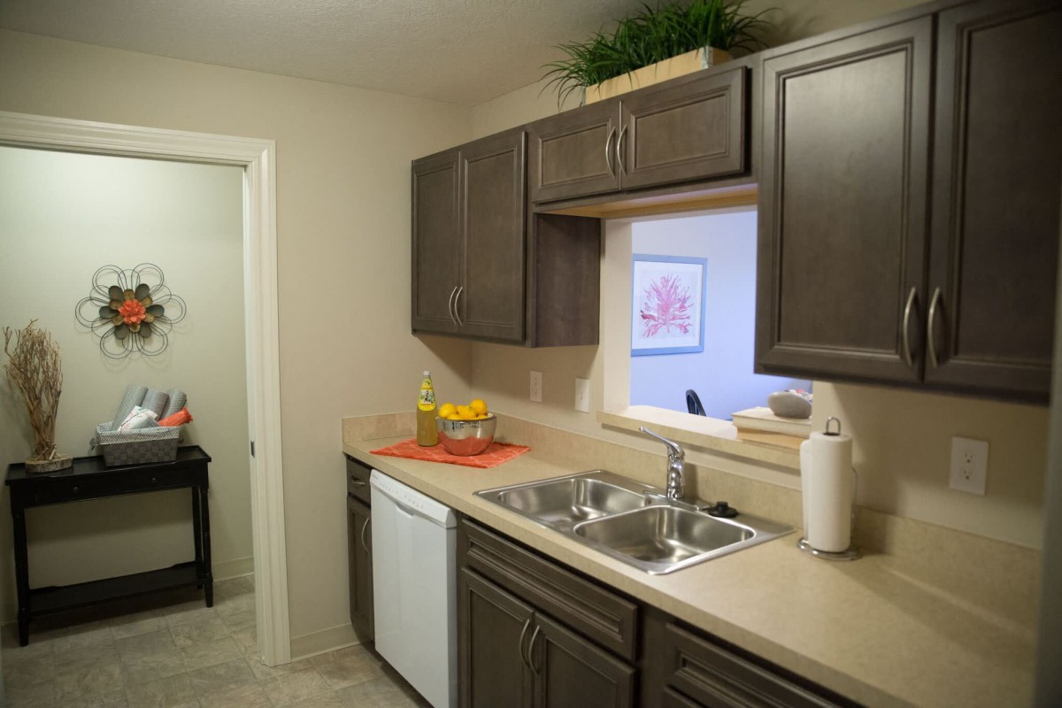 A modern kitchen with dark cabinets, a double sink, and decorative elements.