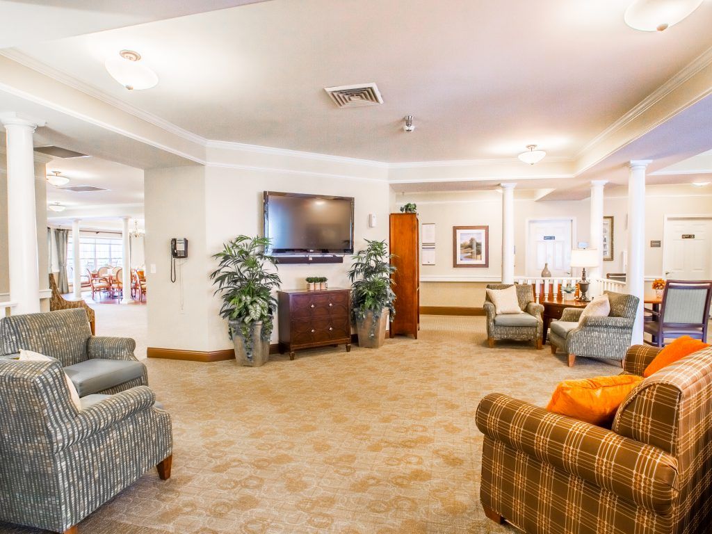 A cozy living room with comfortable seating, a television, and decorative plants.