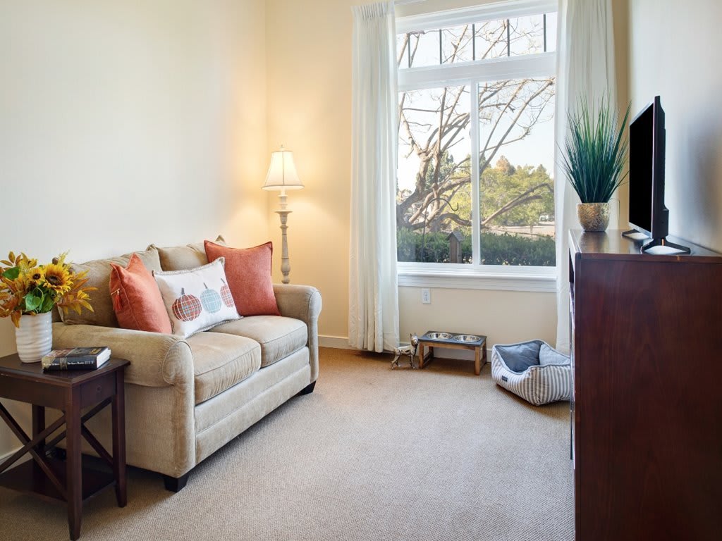 A cozy living room with a sofa and cushions, a lamp, and a large window letting in natural light.