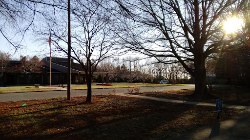 A peaceful suburban scene during winter, featuring bare trees and a quiet street.
