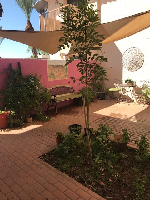 Villa Ocotillo