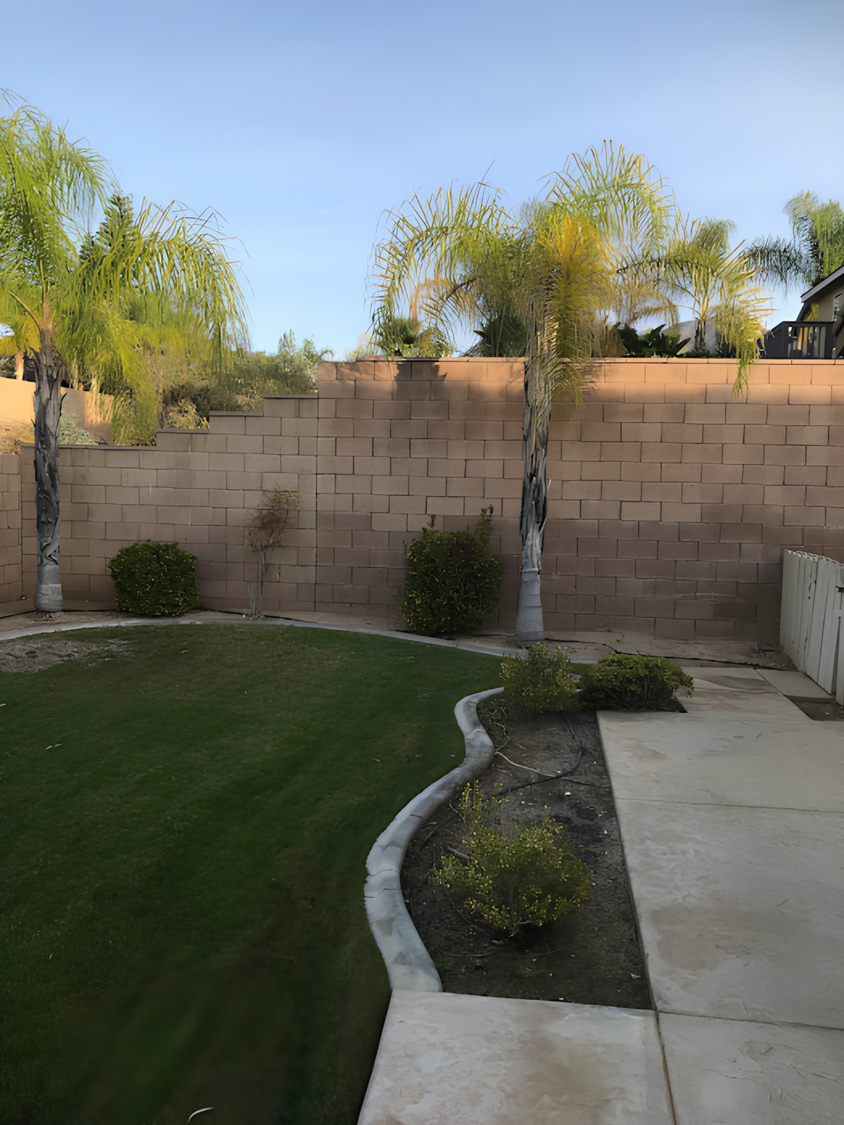 A serene backyard with palm trees, a grassy lawn, and a stone wall.