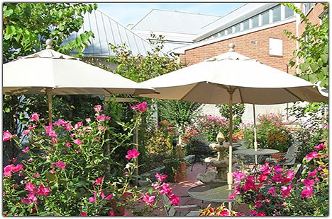 A beautiful garden patio with colorful flowers and shaded umbrellas.
