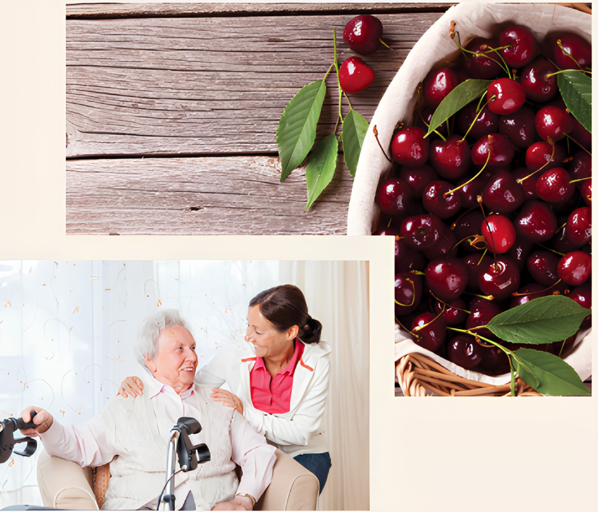 A caregiver shares a moment with an elderly person, symbolizing companionship and healthy living.