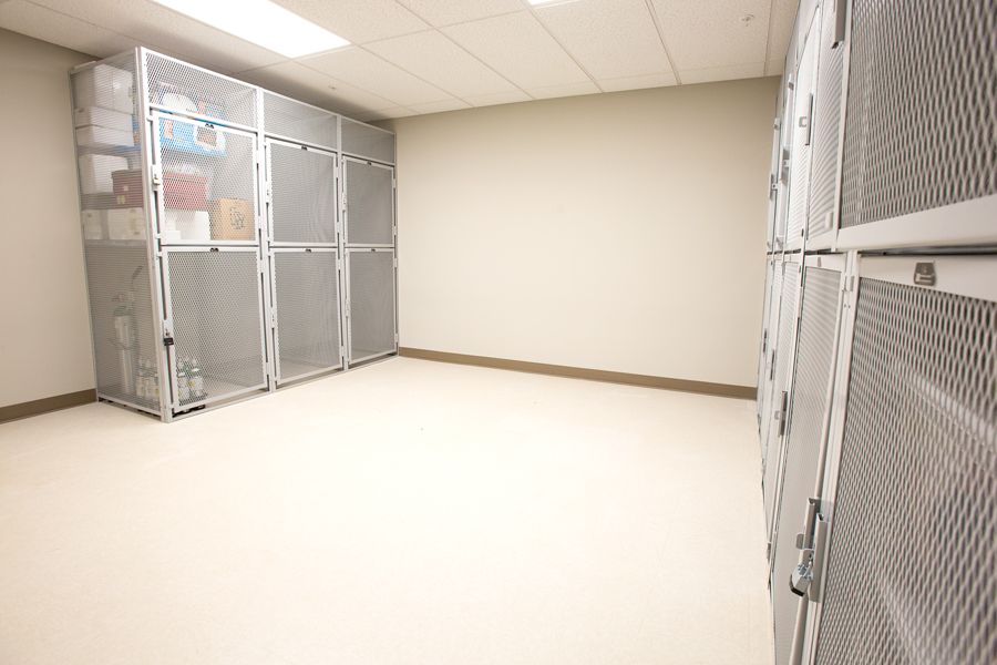 An empty room with metal cages along the walls, likely used for pet boarding or veterinary purposes.