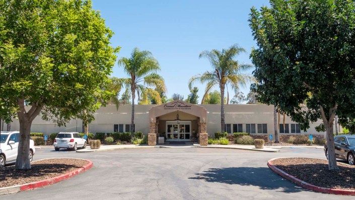 A sunny view of a building entrance surrounded by palm trees and a driveway.