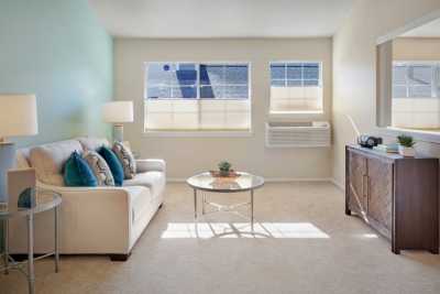 A bright and airy living room with minimalist modern decor.