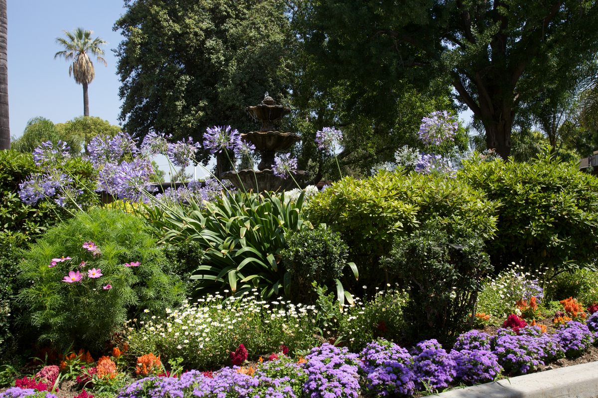 A vibrant garden with a variety of colorful flowers and lush greenery.