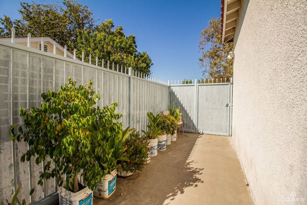 A sunny outdoor pathway lined with potted plants next to a fence.