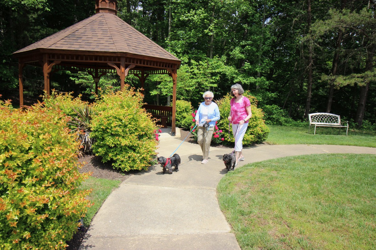 Two women walking their dogs along a garden pathway near a gazebo.