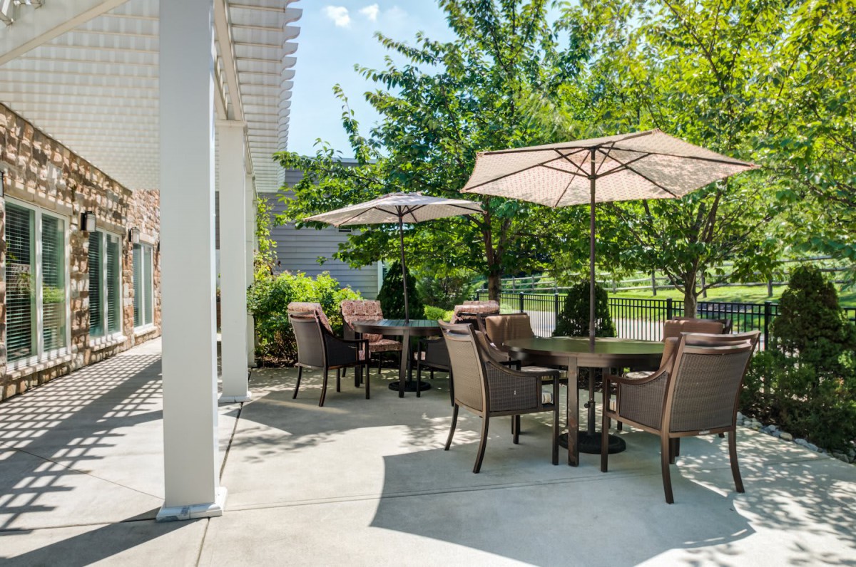 A sunny outdoor patio with tables, chairs, and umbrellas surrounded by greenery.