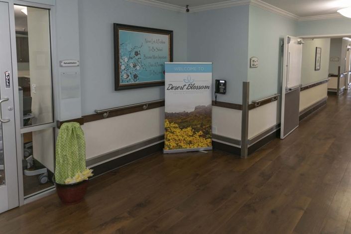 A hospital hallway featuring a decorative plant, artwork on the wall, and a promotional stand with vibrant imagery.