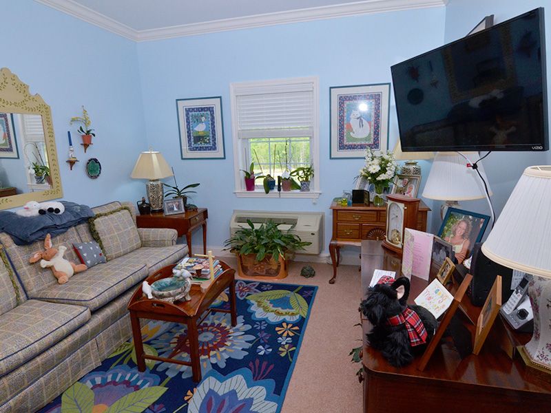 A cozy living room with a blue color scheme, featuring a sofa, television, decorative plants, and various artwork on the walls.