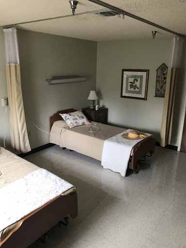 A minimalist bedroom with two single beds, featuring a calming green wall and simple decor.