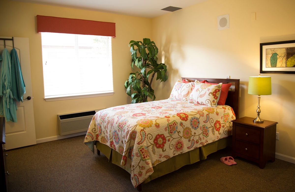 A cozy bedroom with a floral-patterned bedspread, a large window, and a potted plant in the corner.