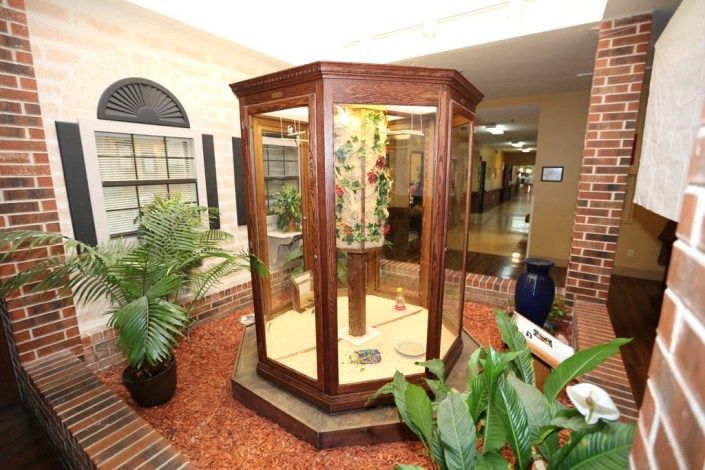 A display case featuring intricate artwork surrounded by plants in an indoor setting.