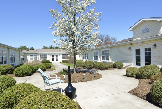 A peaceful courtyard featuring a blossoming tree, surrounded by benches and well-maintained landscaping.