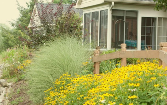 Stoneridge Poplar Run