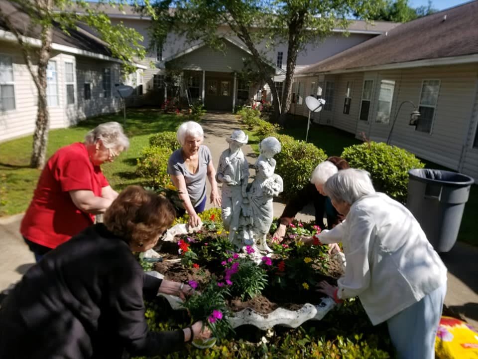 A group of seniors gardening together in a communal outdoor space.