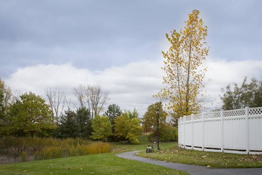 A serene park scene featuring a winding pathway surrounded by trees in autumn colors under a cloudy sky.