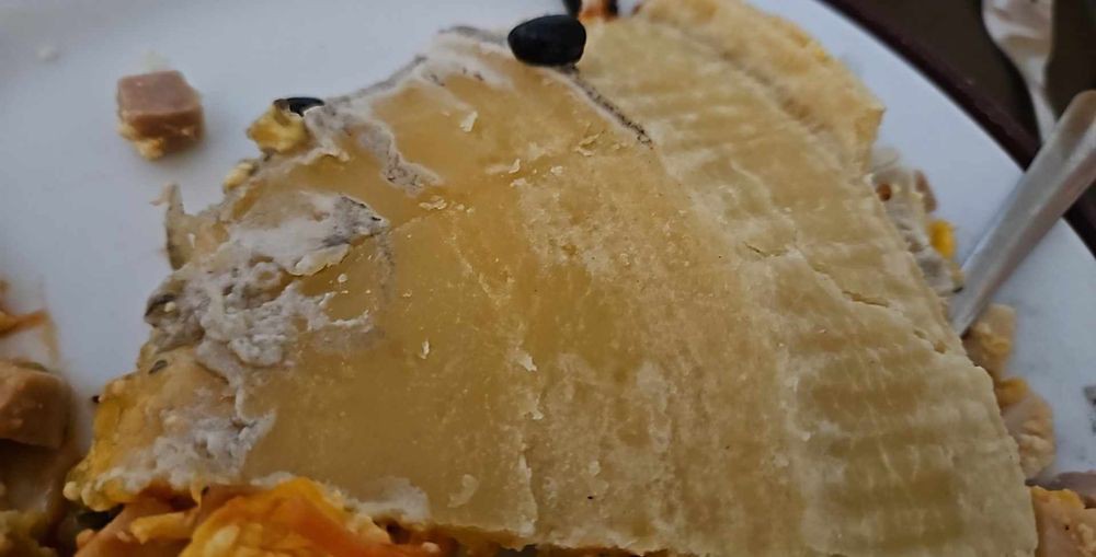 Close-up view of a gourmet cheese slice.