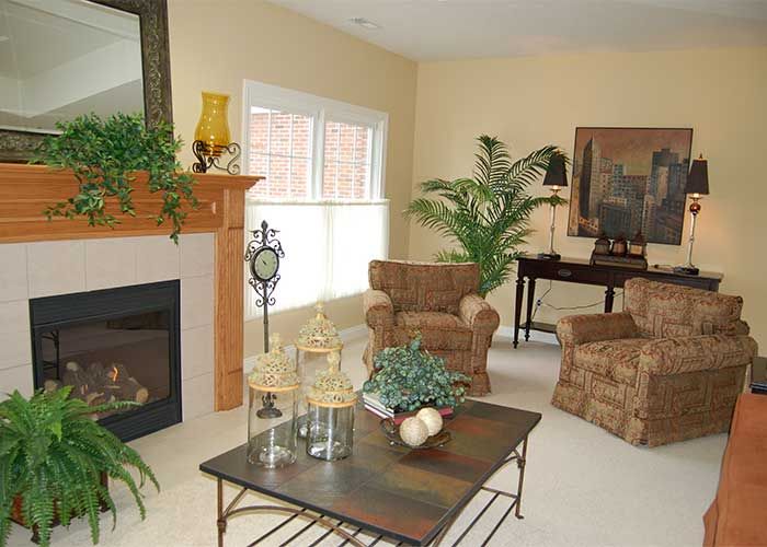 A cozy living room with a fireplace, decorated with plants and comfortable furniture.