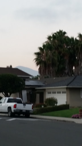 A quiet suburban neighborhood featuring a house surrounded by palm trees.