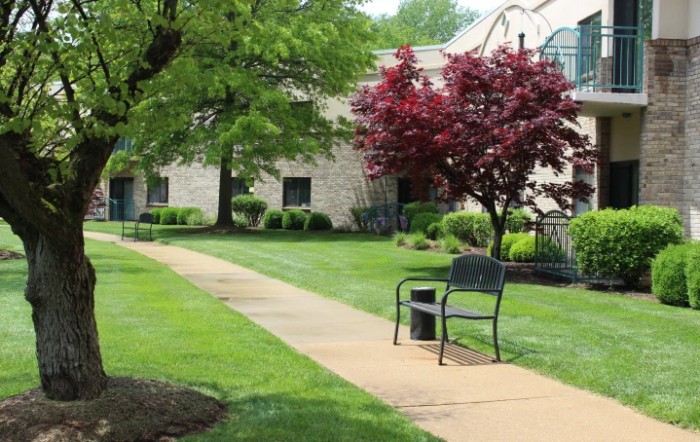 A serene garden path with a bench, surrounded by lush greenery and trees.