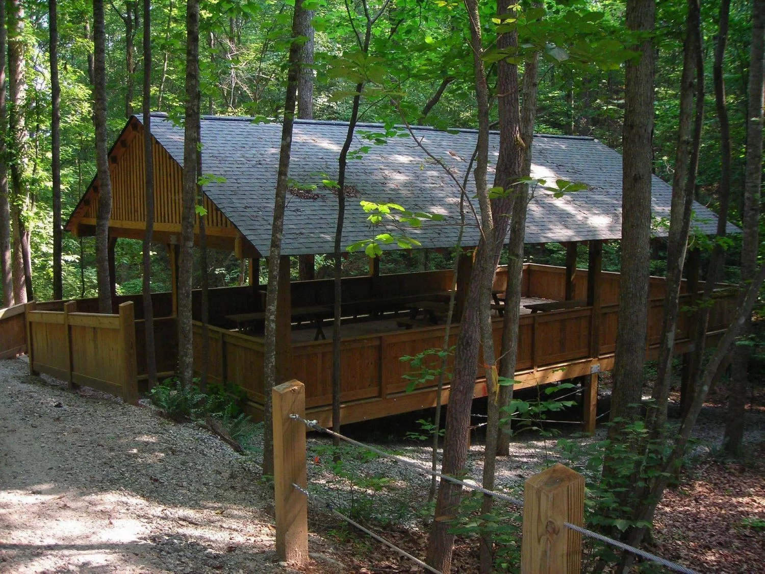 A wooden cabin nestled in a serene forest setting.