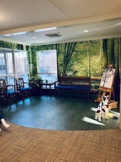 A spacious waiting room with nature-themed decor, featuring benches, chairs, and an easel.