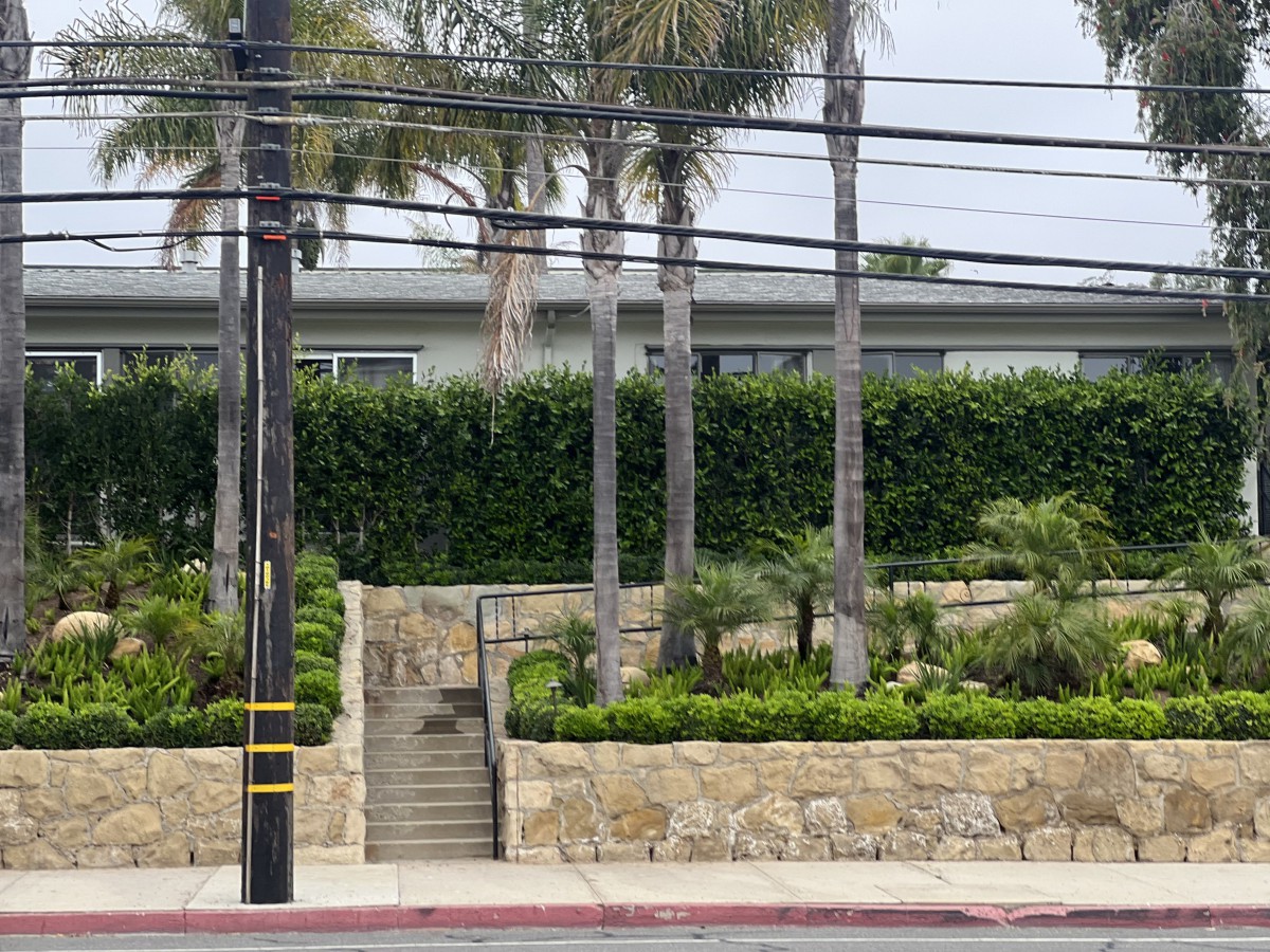A landscaped urban scene featuring palm trees, a stone wall, and stairs.