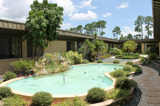 A serene outdoor space featuring a small pool surrounded by lush greenery and a modern building.