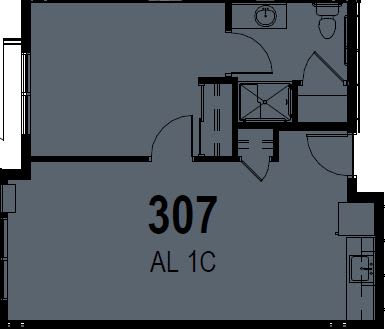 A floor plan showing the layout of room 307 in an apartment building.