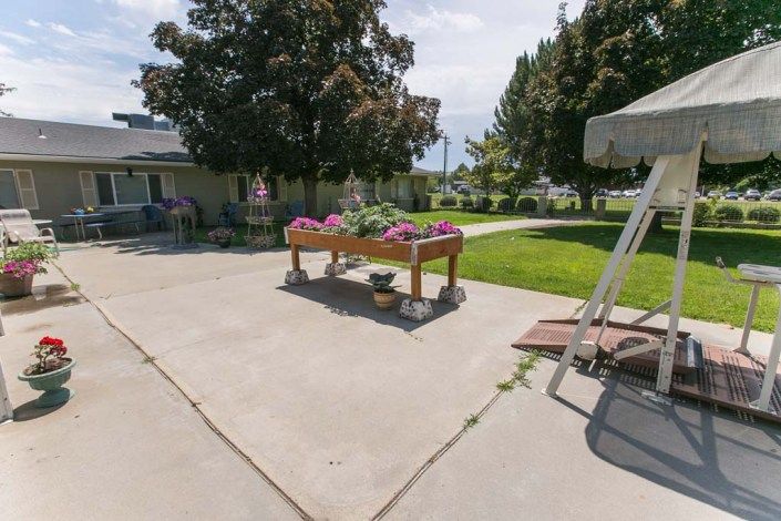 A sunny outdoor garden area with a table filled with plants, surrounded by trees and a well-kept lawn.