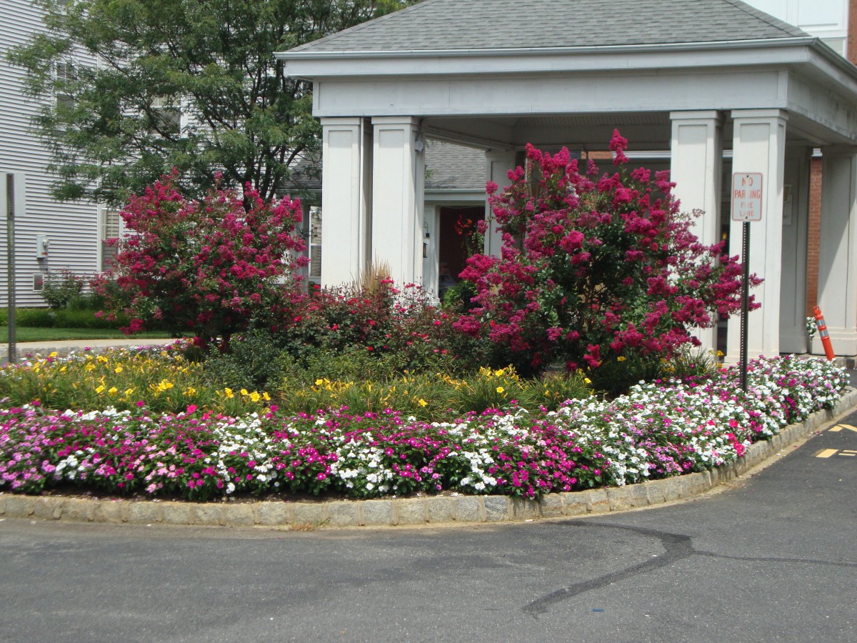 Beautifully landscaped garden with colorful flowers and shrubs in front of a building.