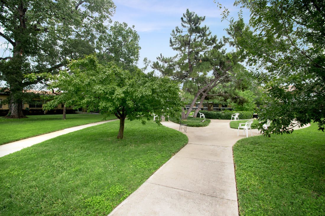 A serene park with winding pathways surrounded by lush green trees.