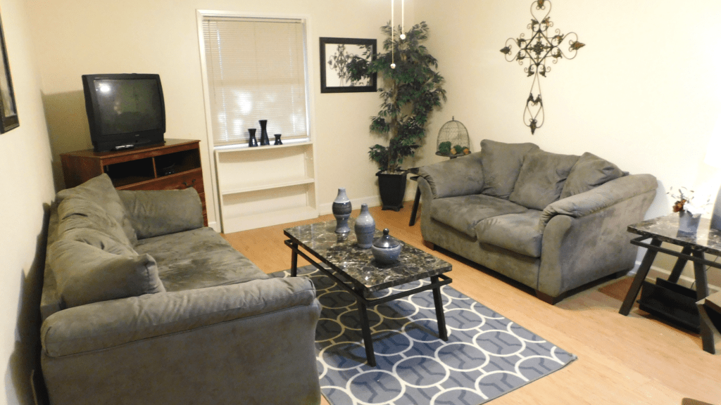 A cozy living room with two sofas, a marble coffee table, and decorative elements including an indoor plant and artwork.