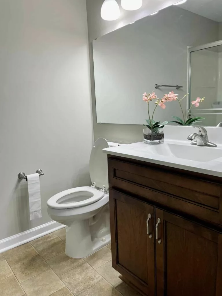 A clean and modern bathroom with a toilet, sink, and decorative plants.