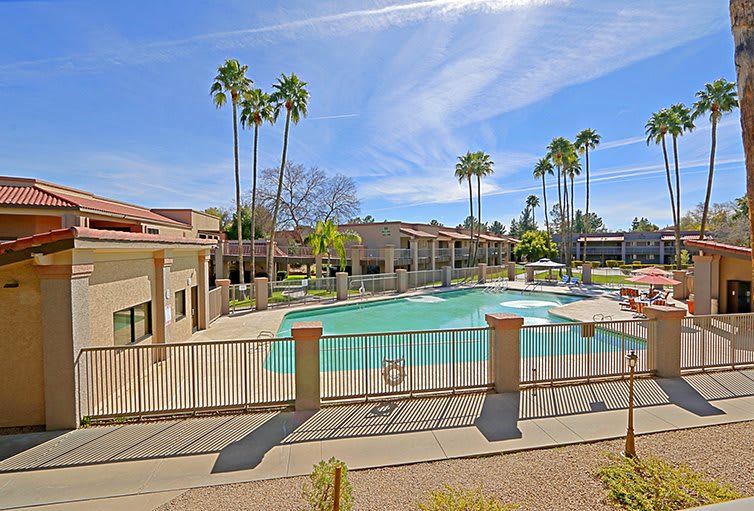 A sunny day at a resort with a large outdoor pool surrounded by palm trees.