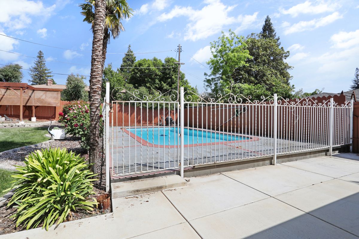 A fenced outdoor swimming pool with a palm tree and clear skies.